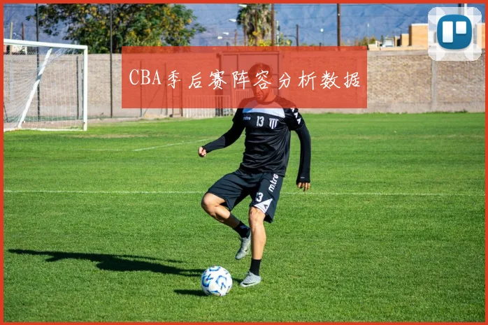 CBA季后赛阵容分析数据