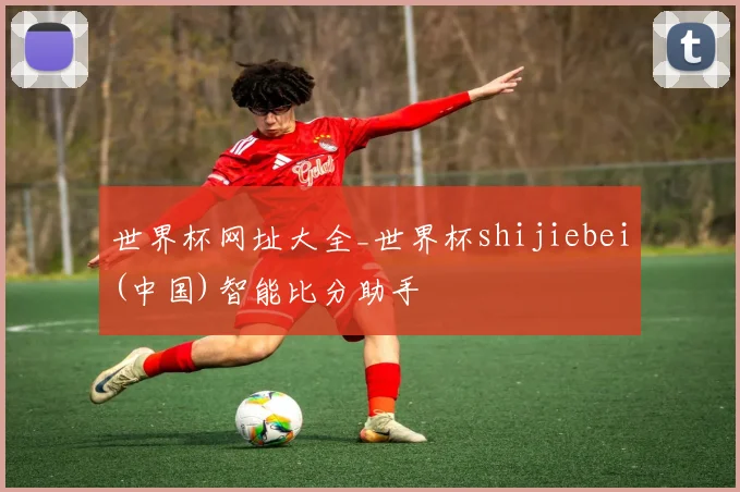 世界杯网址大全_世界杯shijiebei(中国)智能比分助手