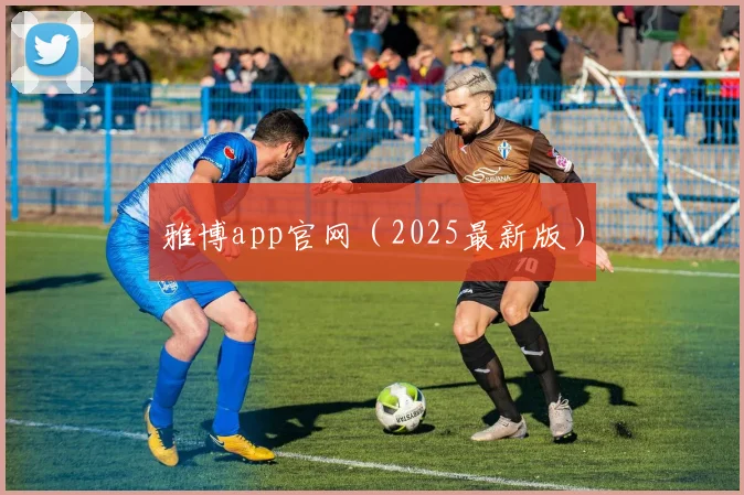 雅博app官网（2025最新版）