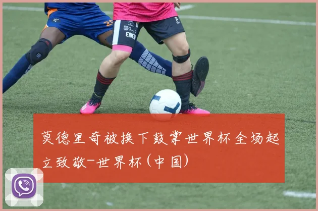 莫德里奇被换下鼓掌世界杯全场起立致敬-世界杯(中国)