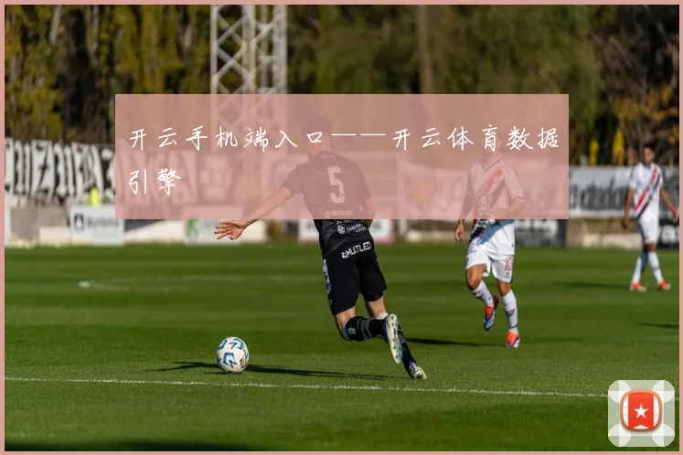 开云手机端入口——开云体育数据引擎