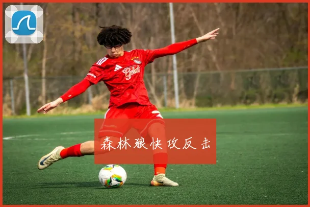 森林狼快攻反击