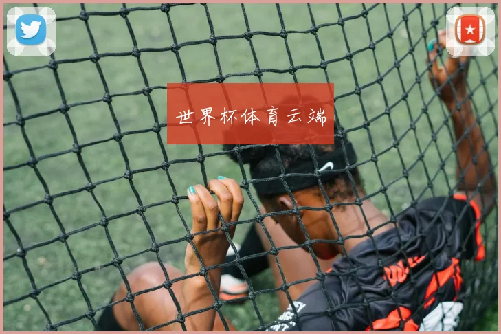 世界杯体育云端