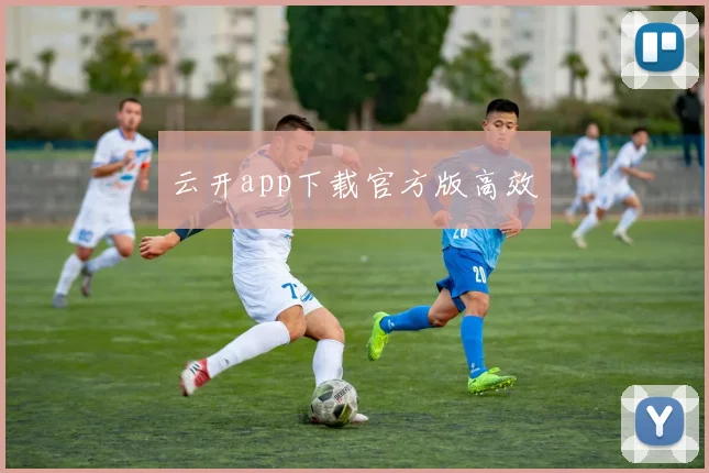 云开app下载官方版高效