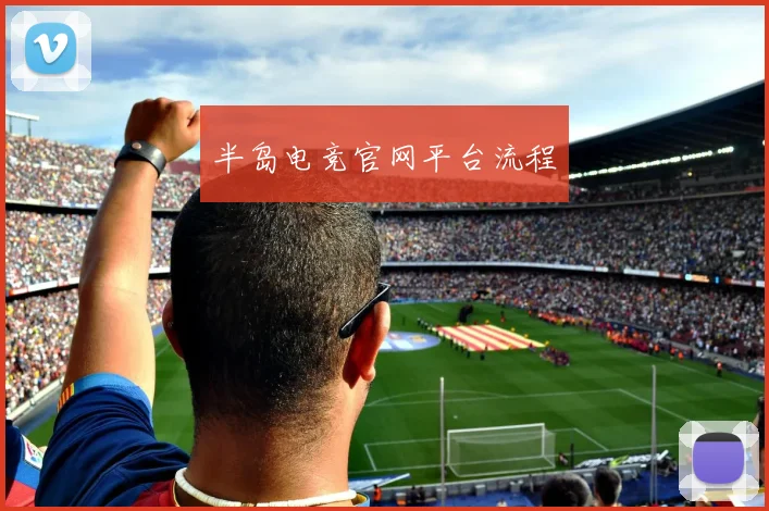 半岛电竞官网平台流程