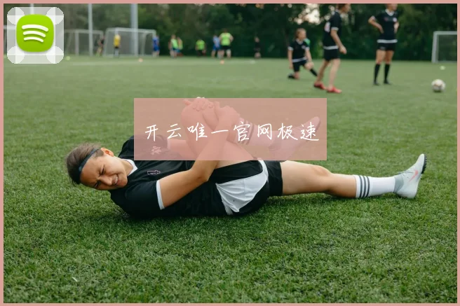 开云唯一官网极速