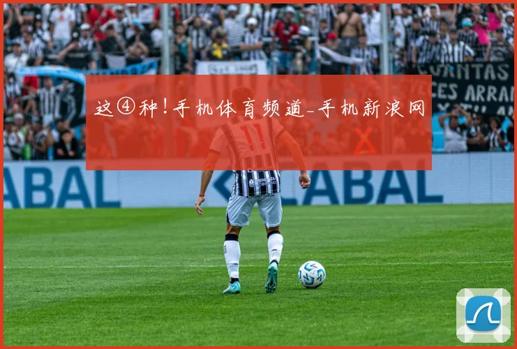 这④种!手机体育频道_手机新浪网