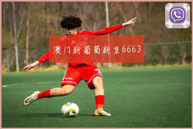 澳门新葡萄新京6663