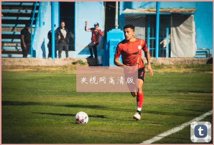 央视网高清版
