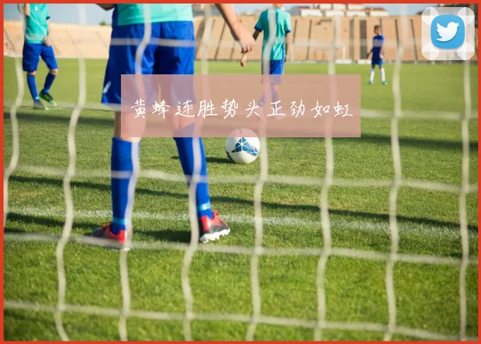 黄蜂连胜势头正劲如虹