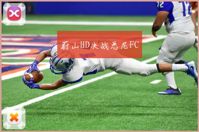 蔚山HD决战悉尼FC