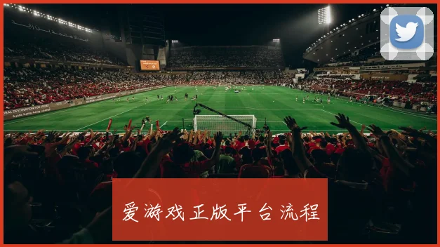 爱游戏正版平台流程