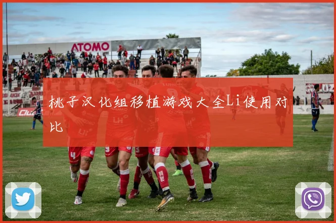 桃子汉化组移植游戏大全Li使用对比