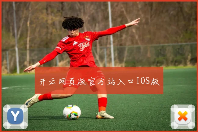 开云网页版官方站入口IOS版