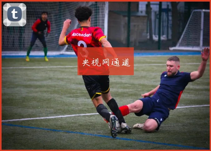 央视网通道