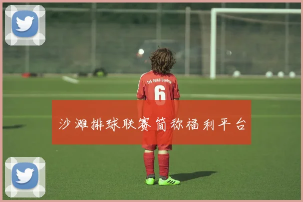 沙滩排球联赛简称福利平台