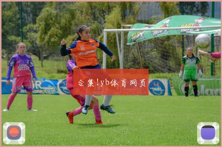 合集!yb体育网页
