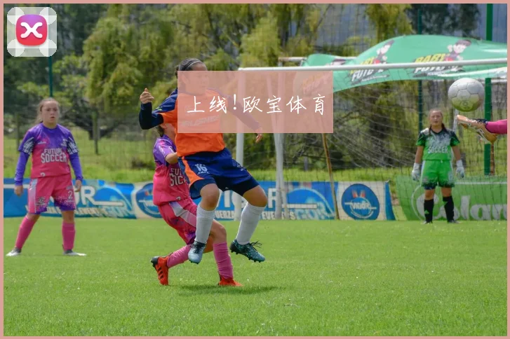 上线!欧宝体育