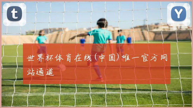 世界杯体育在线(中国)唯一官方网站通道