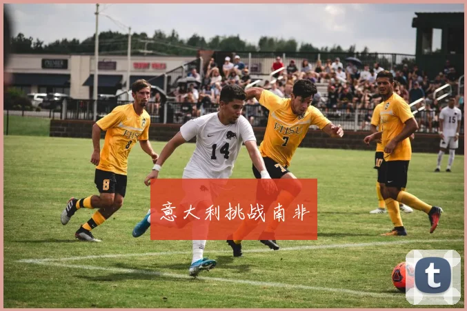 意大利挑战南非