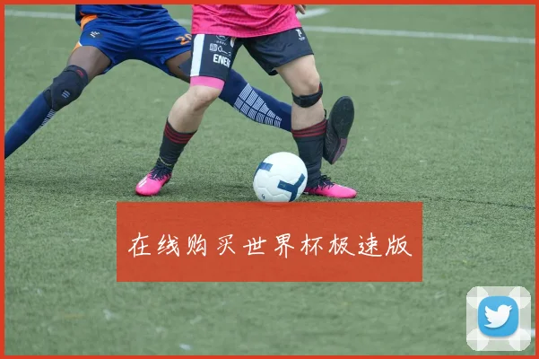 在线购买世界杯极速版