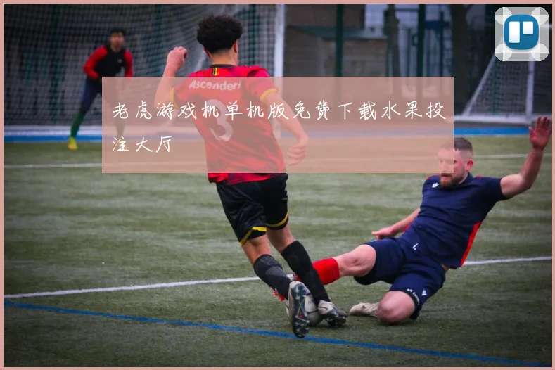 老虎游戏机单机版免费下载水果投注大厅