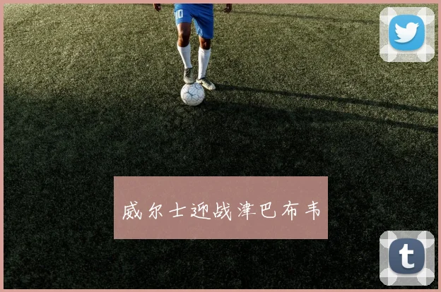 威尔士迎战津巴布韦