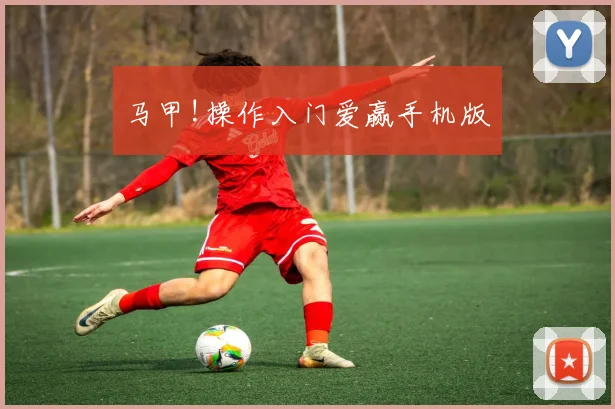 马甲!操作入门爱赢手机版