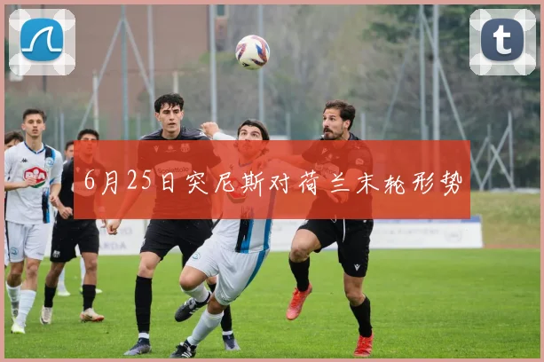 6月25日突尼斯对荷兰末轮形势