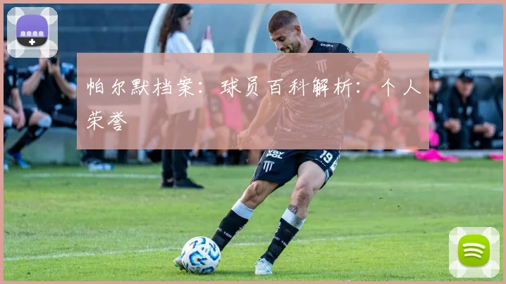 帕尔默档案：球员百科解析：个人荣誉