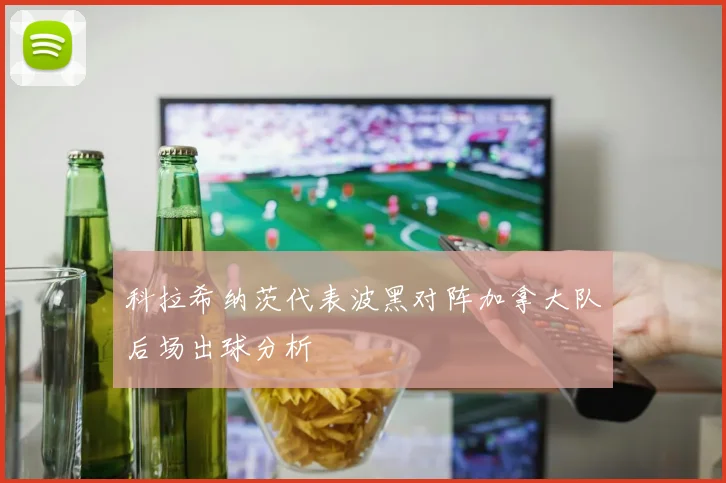 科拉希纳茨代表波黑对阵加拿大队后场出球分析